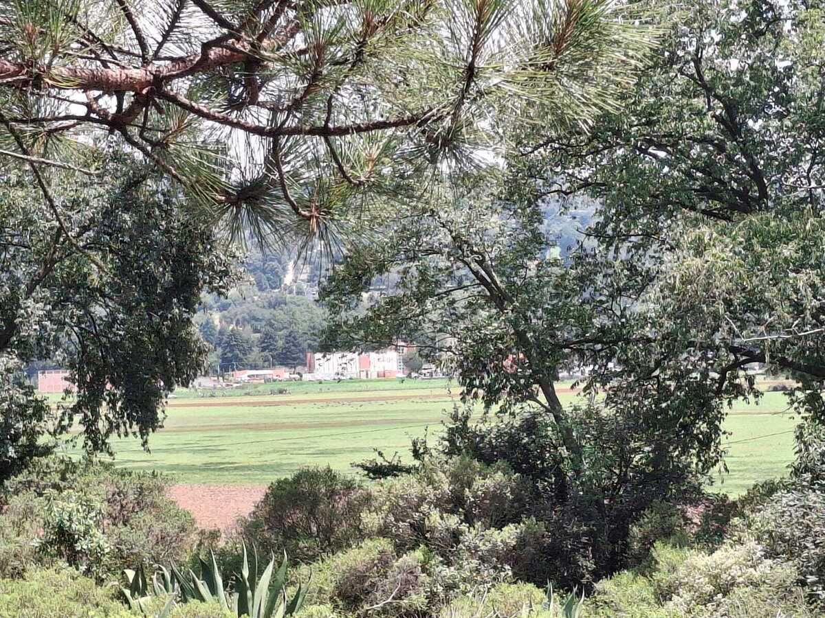 4 de 14