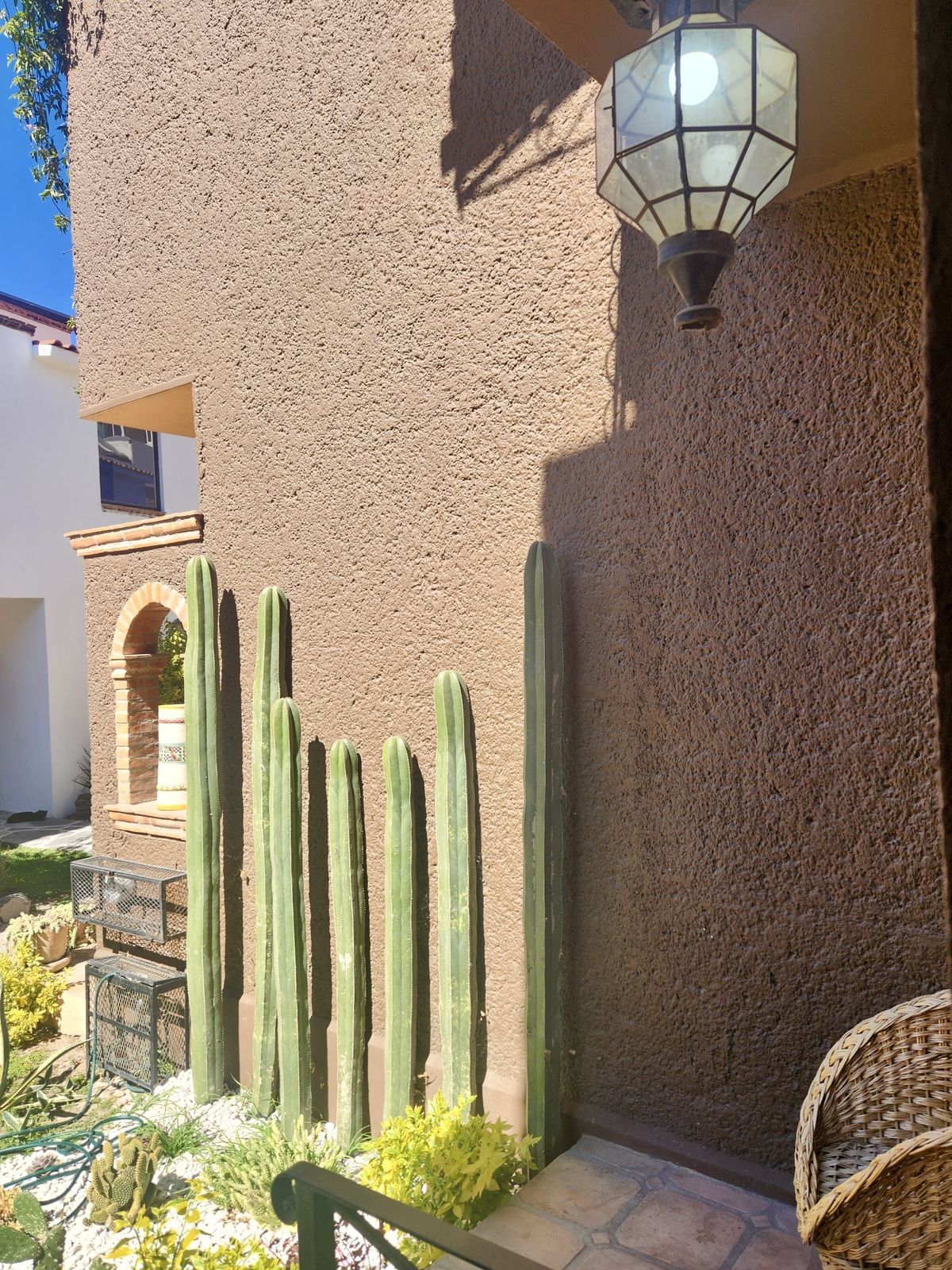 2 de 16