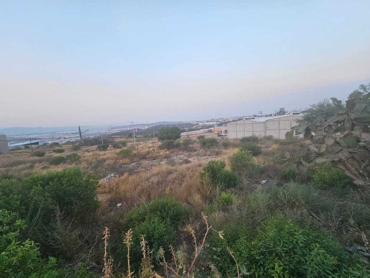 3 de 25