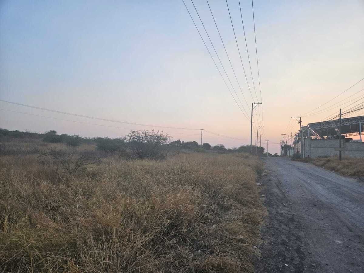 13 de 25