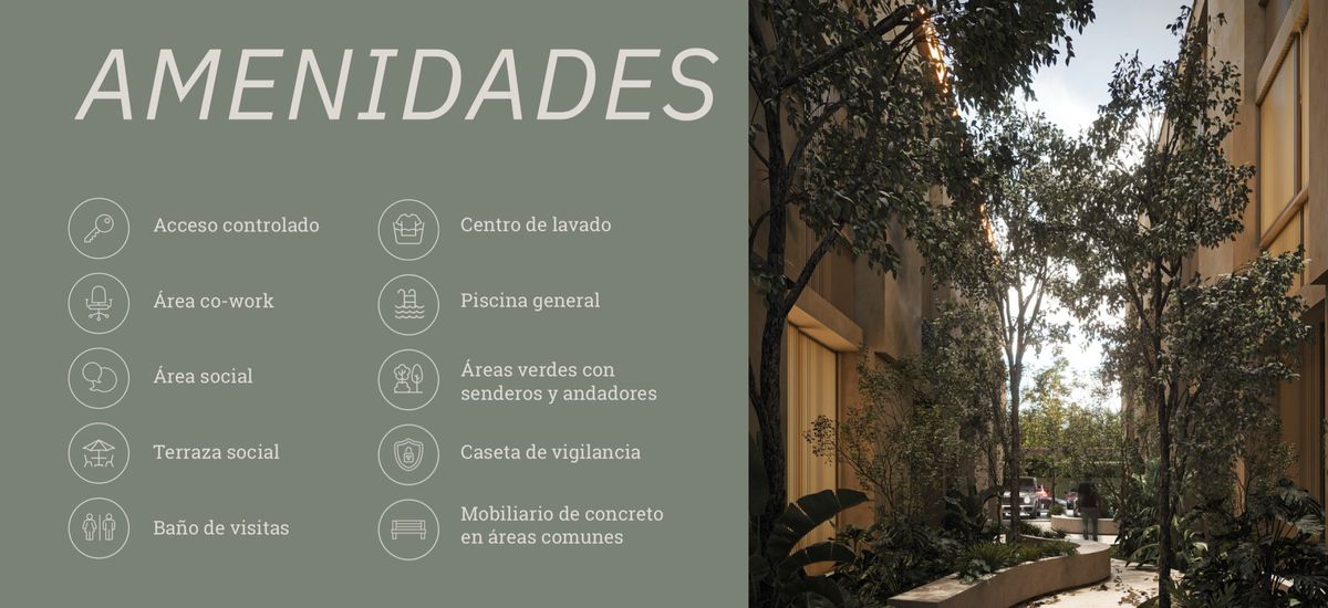 16 de 17