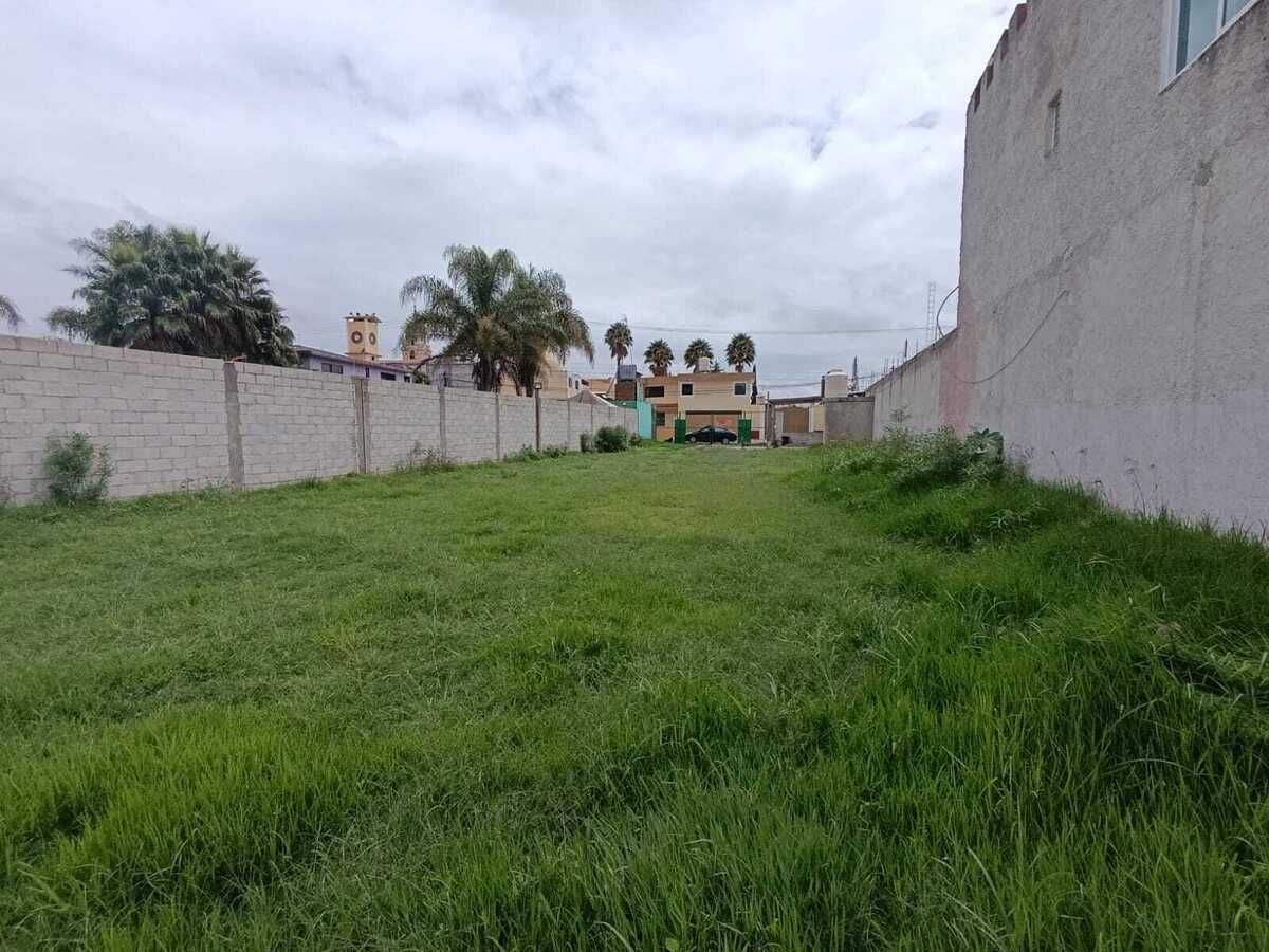 6 de 6
