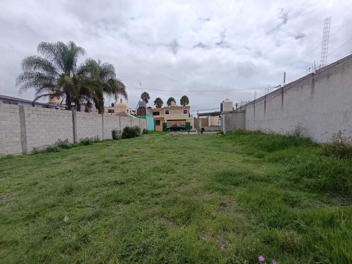 4 de 6