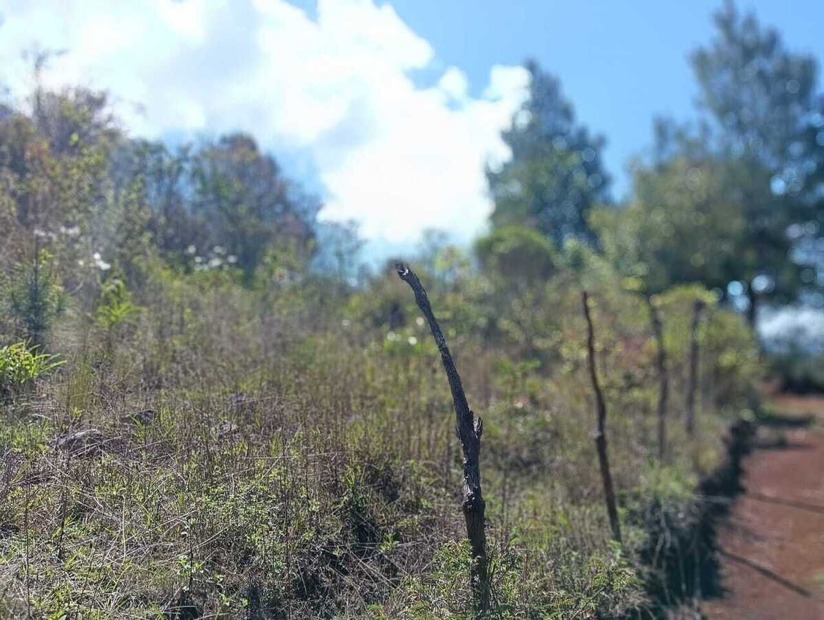1 de 8