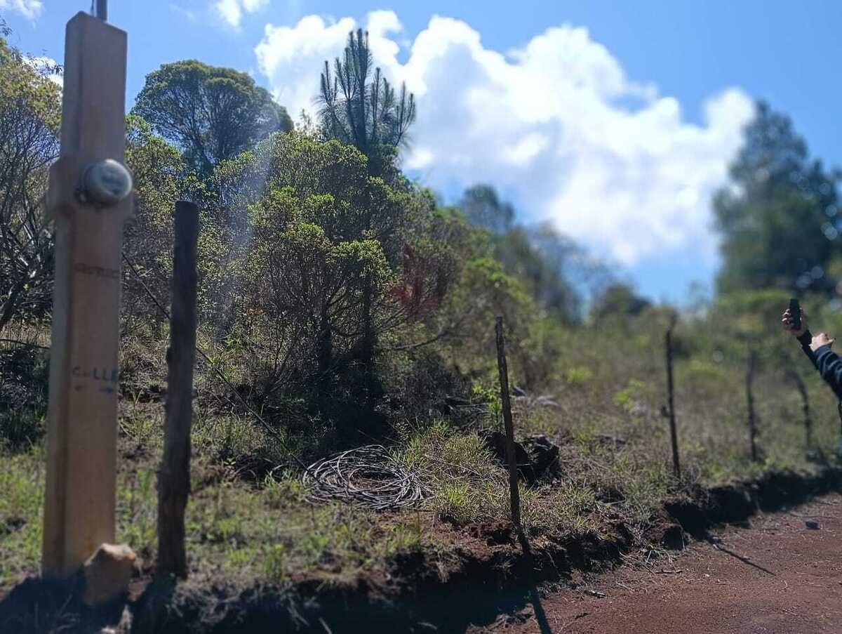 2 de 8