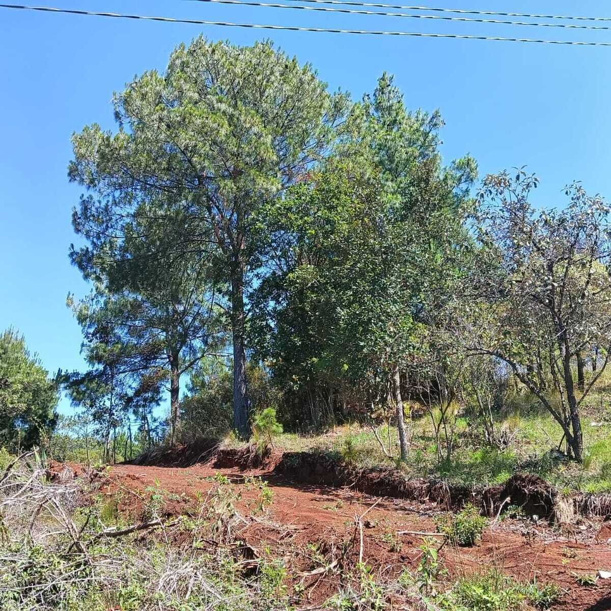 3 de 8