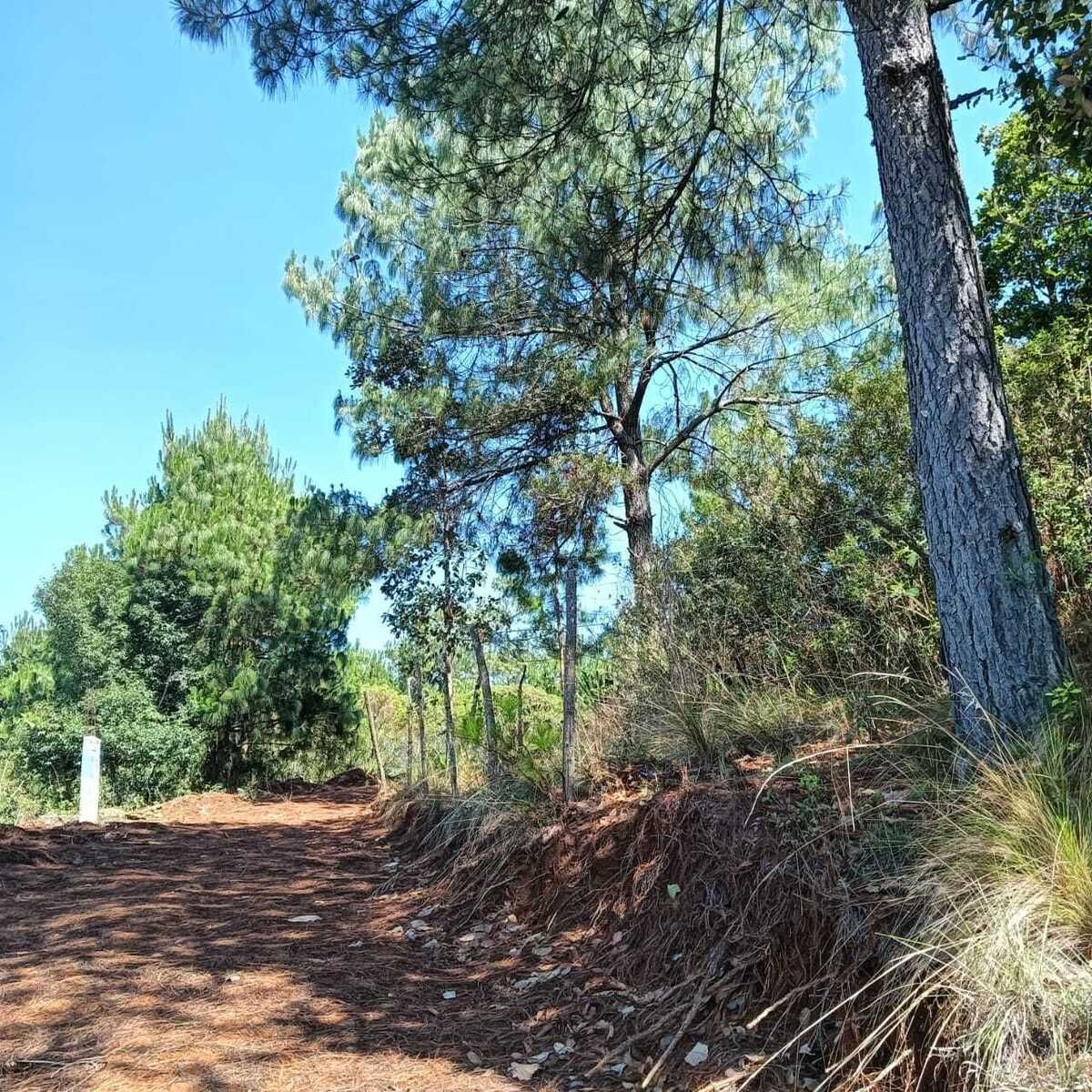 4 de 8