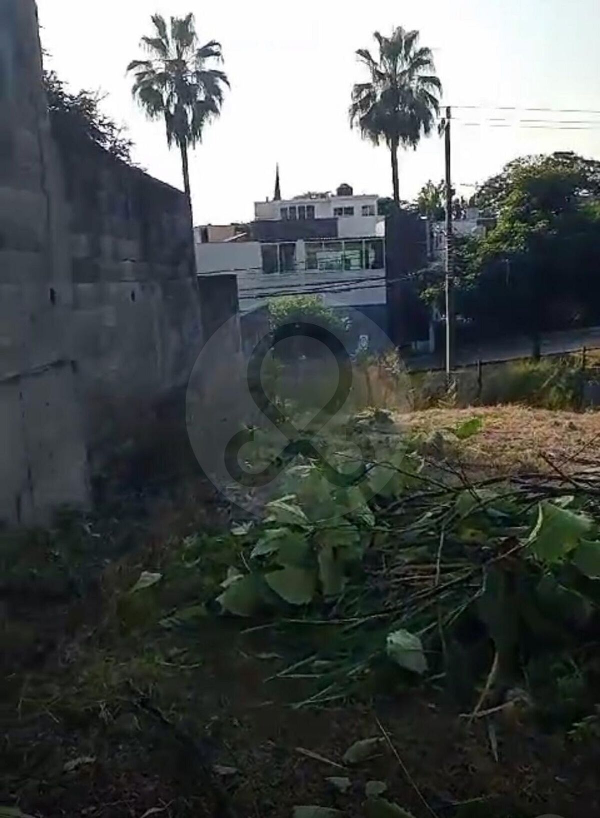 3 de 6