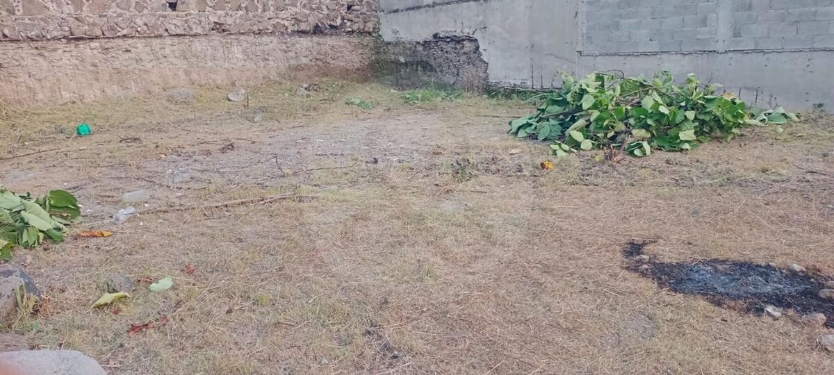 4 de 6