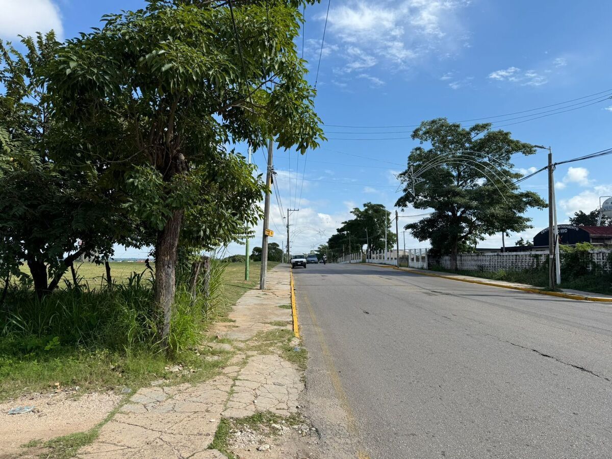 2 de 6