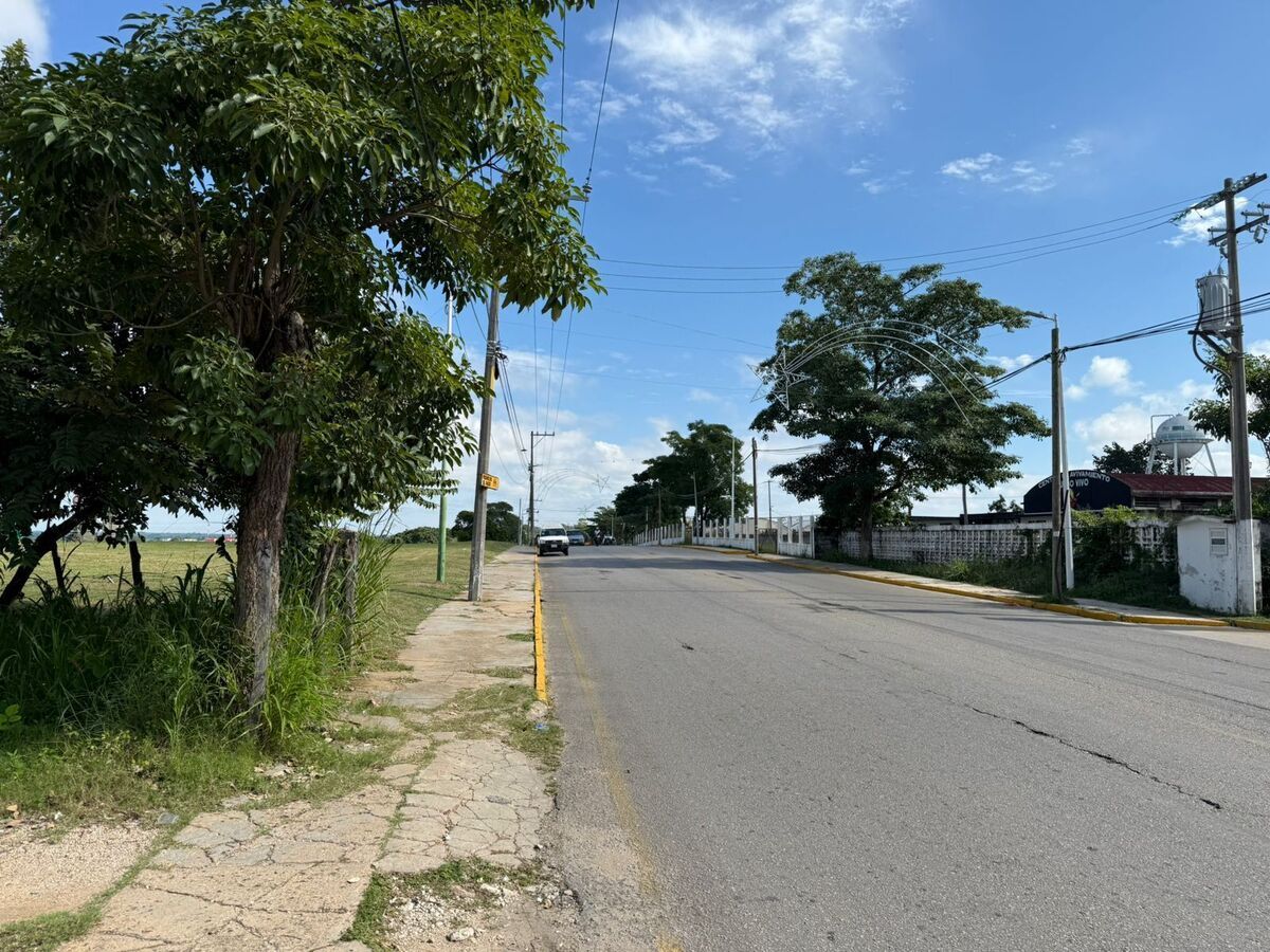 3 de 6