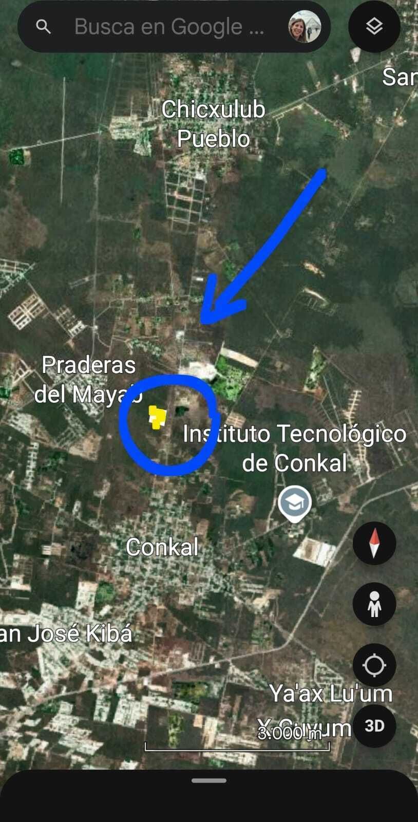 1 de 6