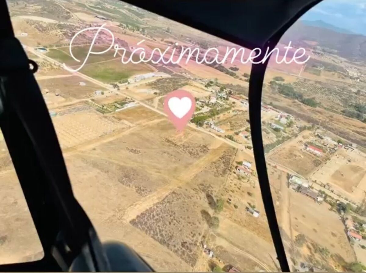 3 de 4