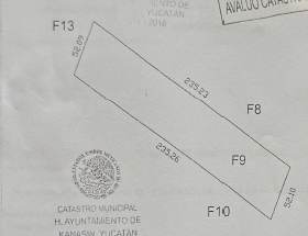 4 de 5