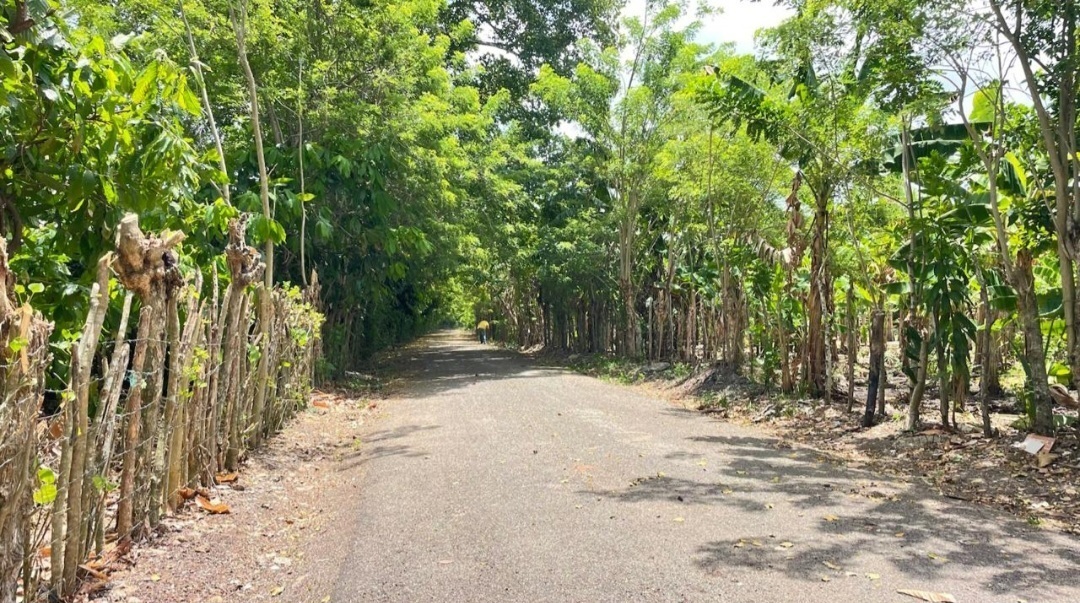 Property view 3