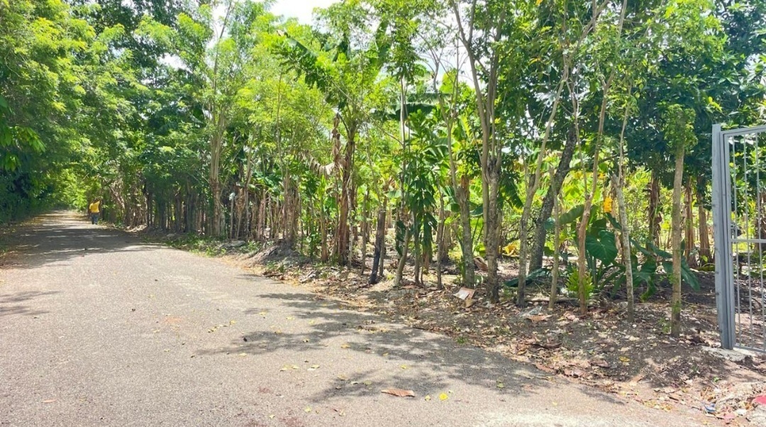 Property view 4