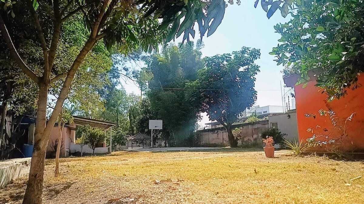 6 de 27
