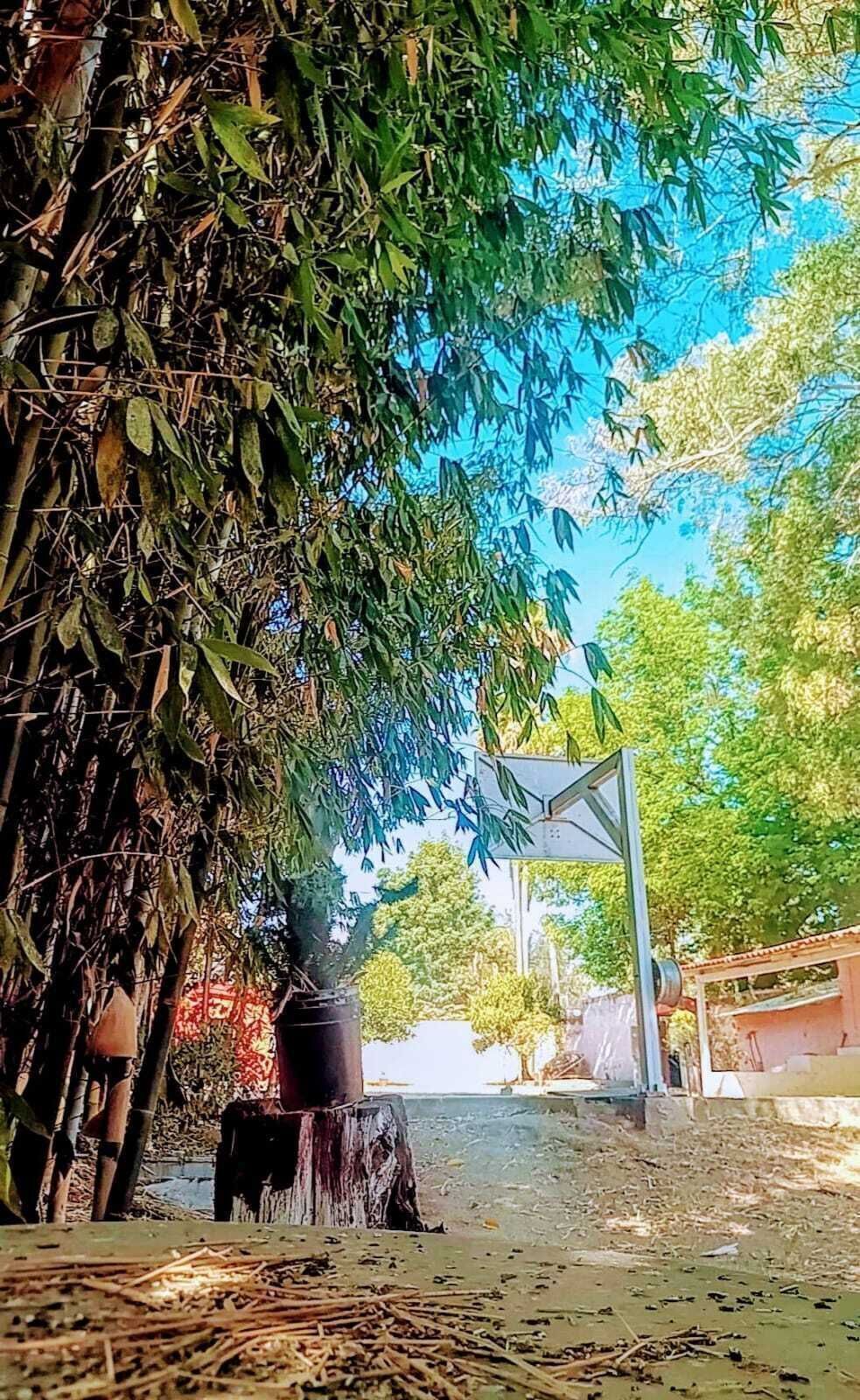 17 de 27