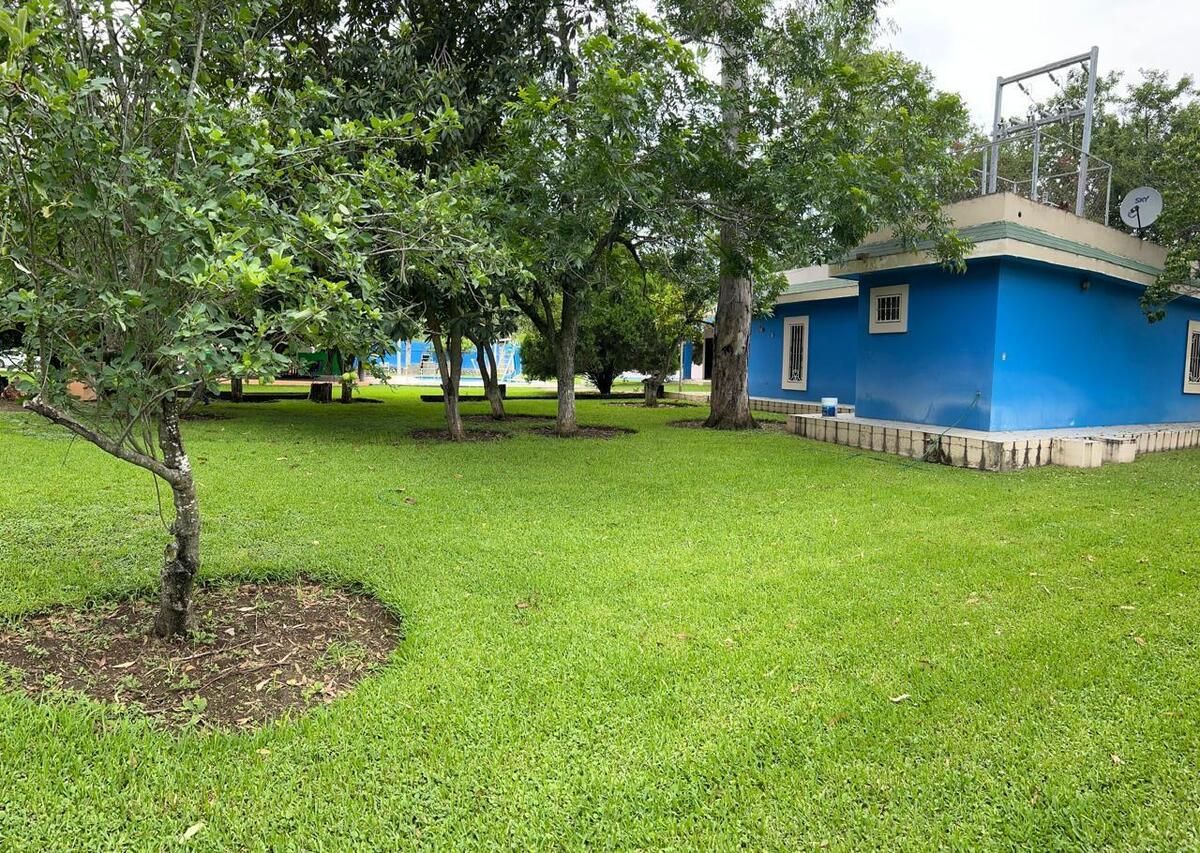 3 de 23