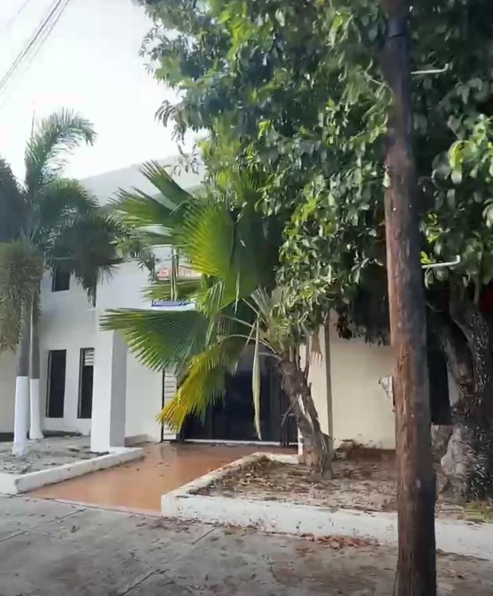 1 de 15