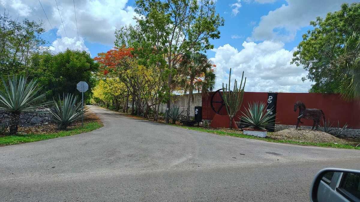 2 de 21