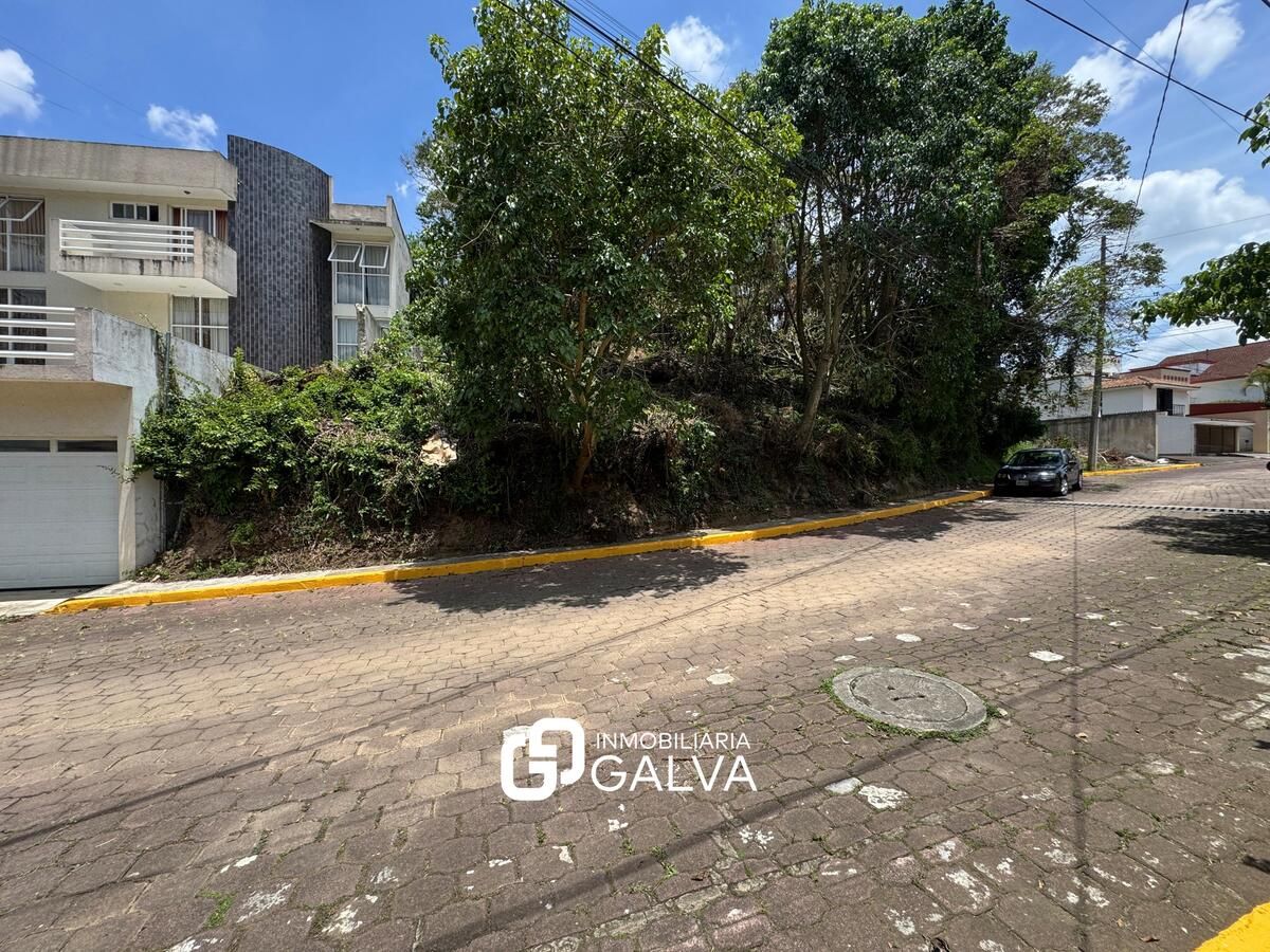 Imagen 1 de 6