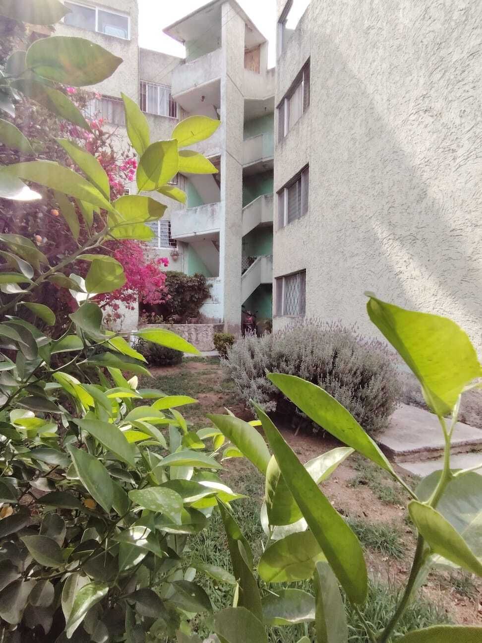 1 de 17