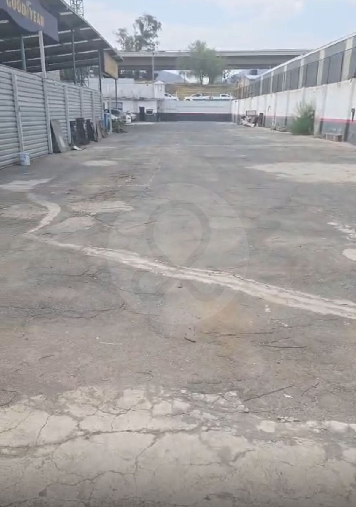 5 de 7