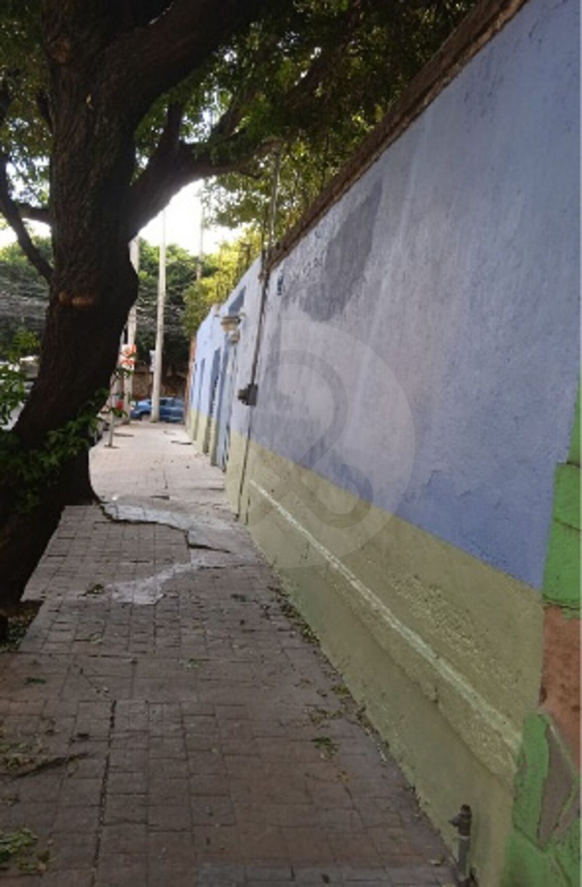 3 de 8