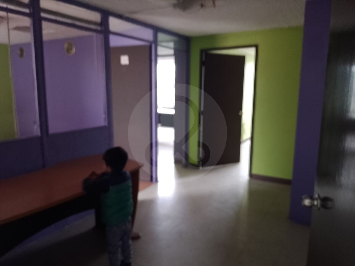 5 de 11