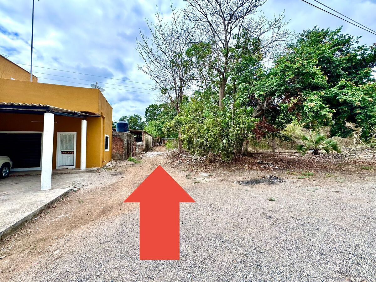3 de 29
