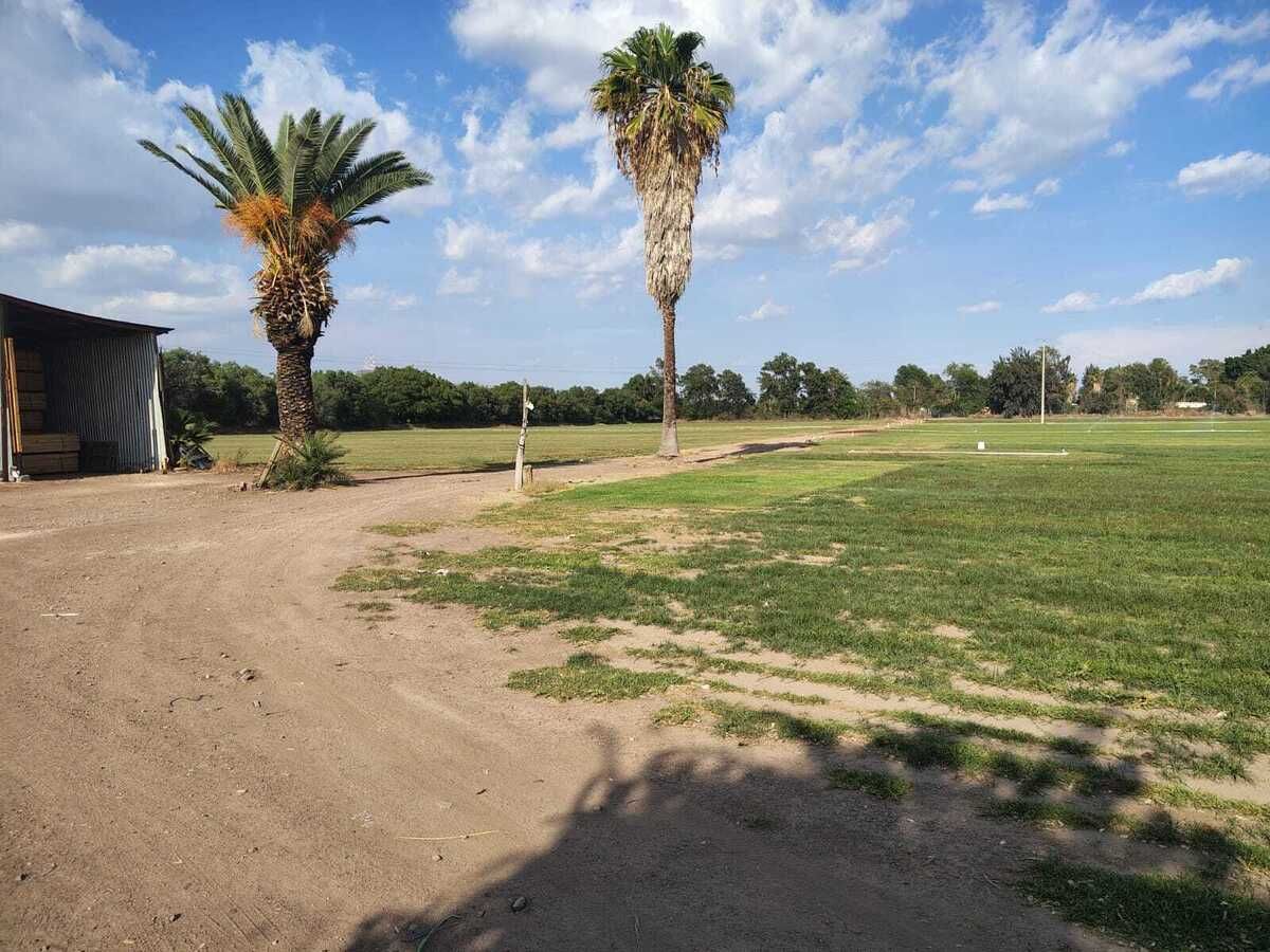 2 de 37