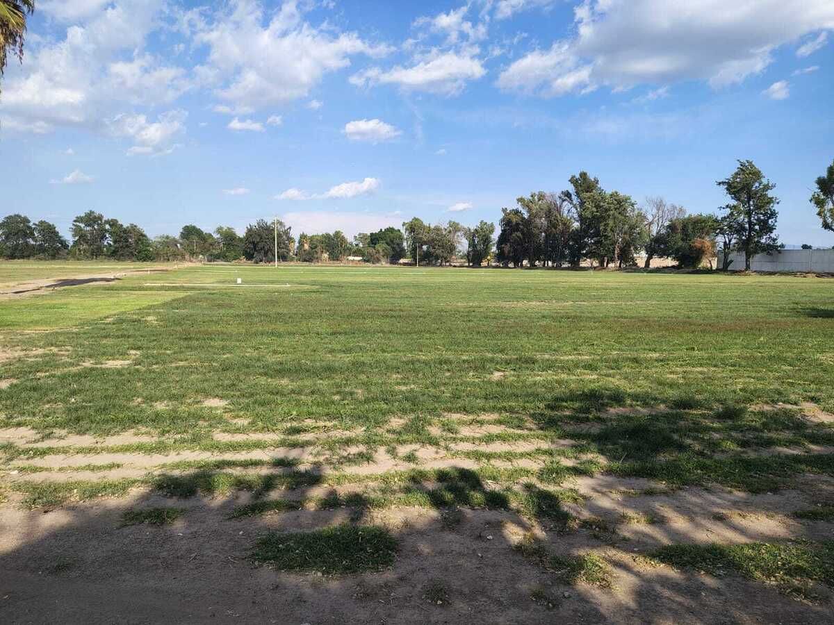 3 de 37