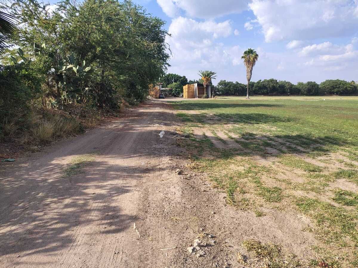 5 de 37