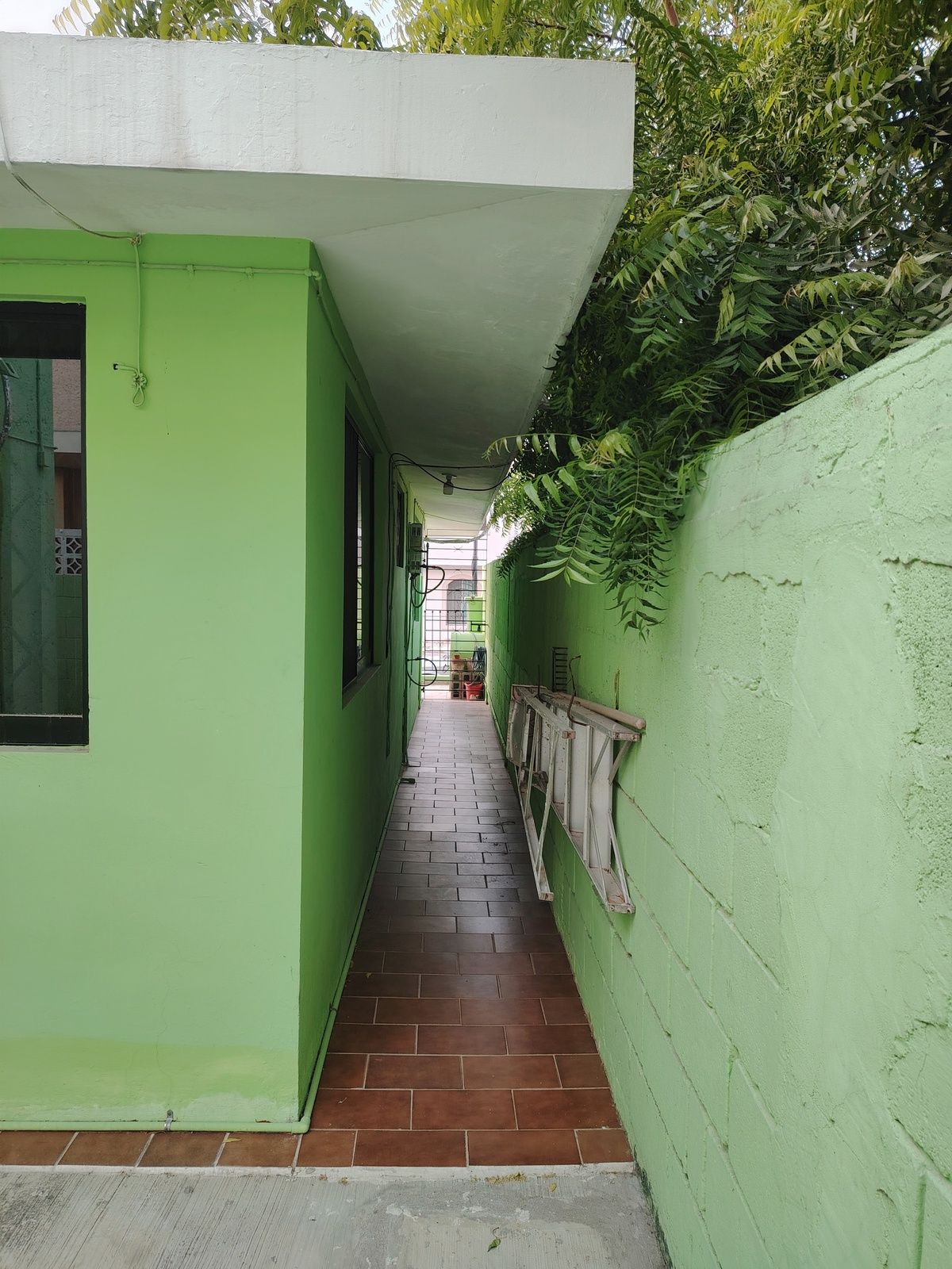 25 de 37