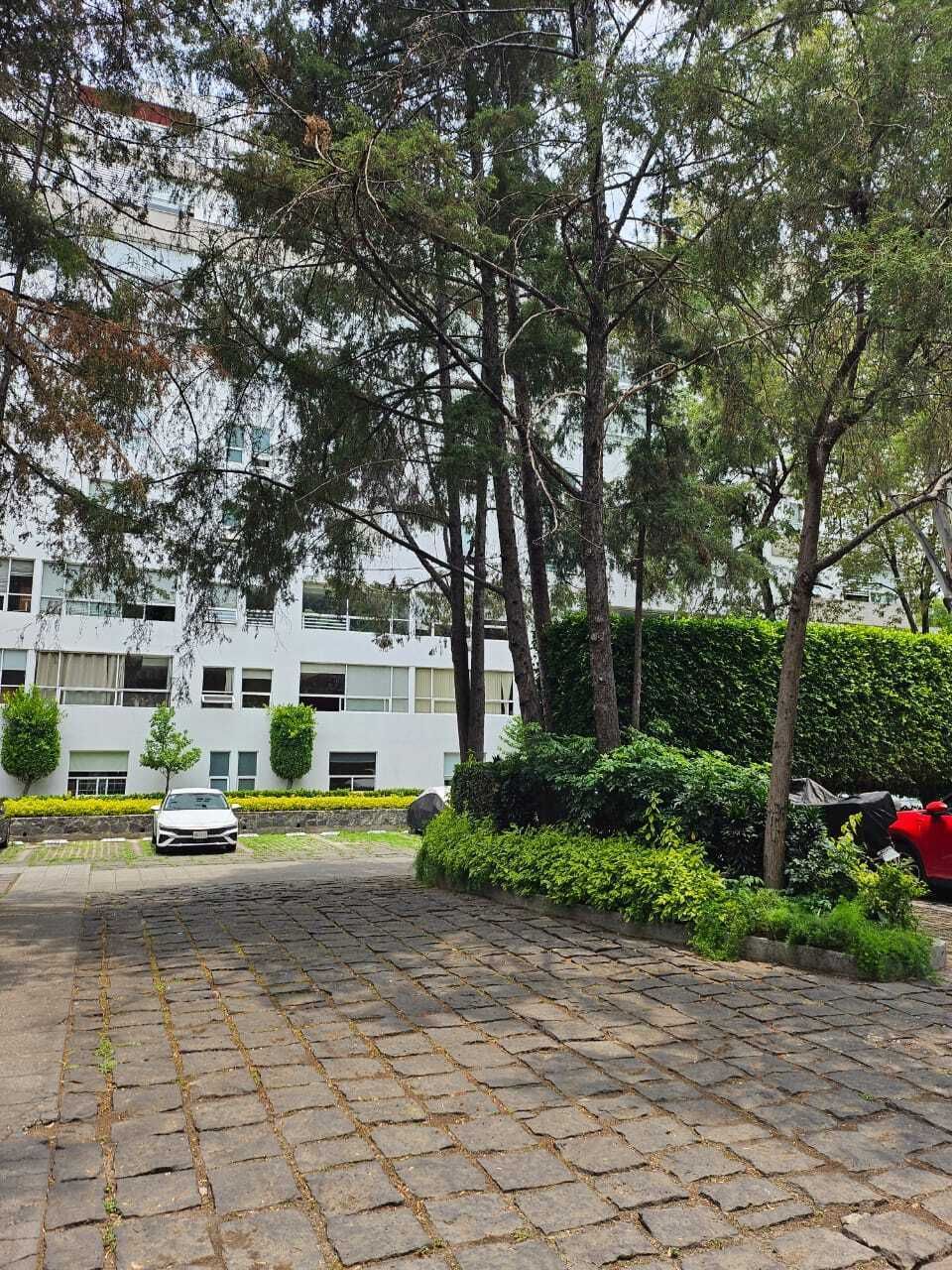 32 de 34