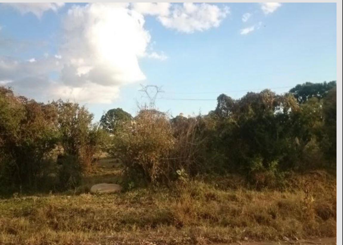 5 de 8
