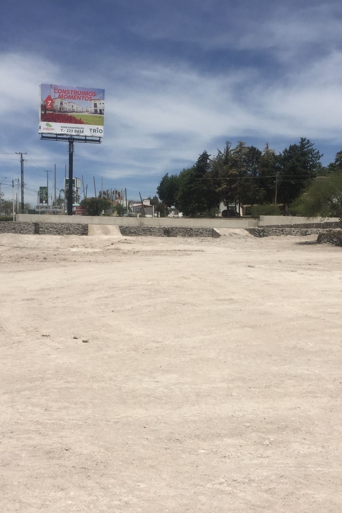 6 de 17