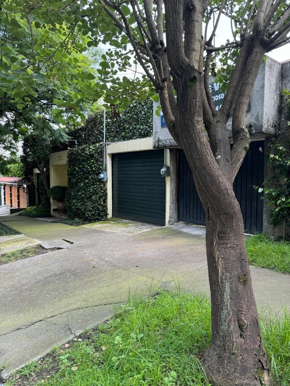 3 de 6