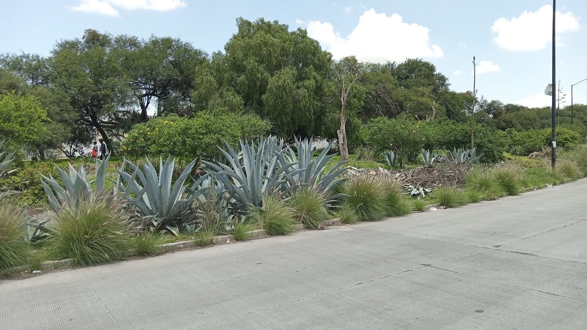 4 de 5: JARDIN https://assets.easybroker.com/property_imagesEXTERIOR