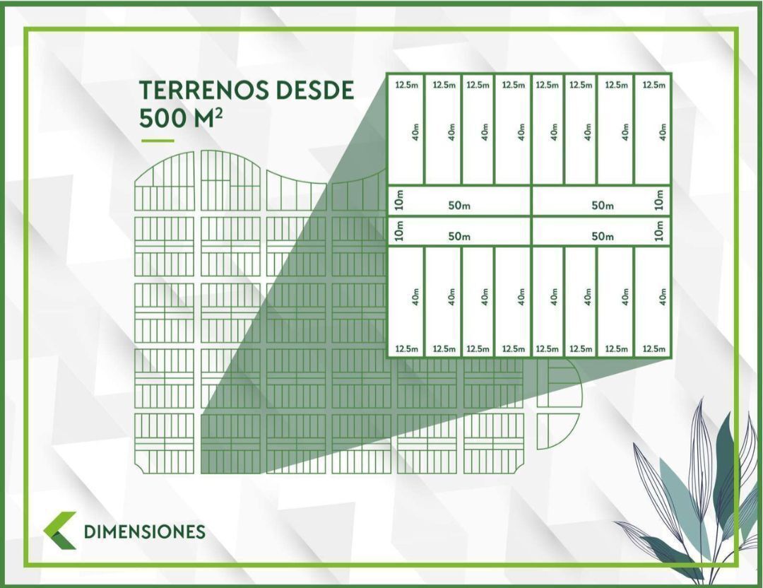 6 de 6