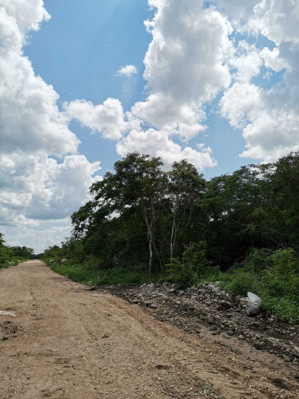 6 de 12