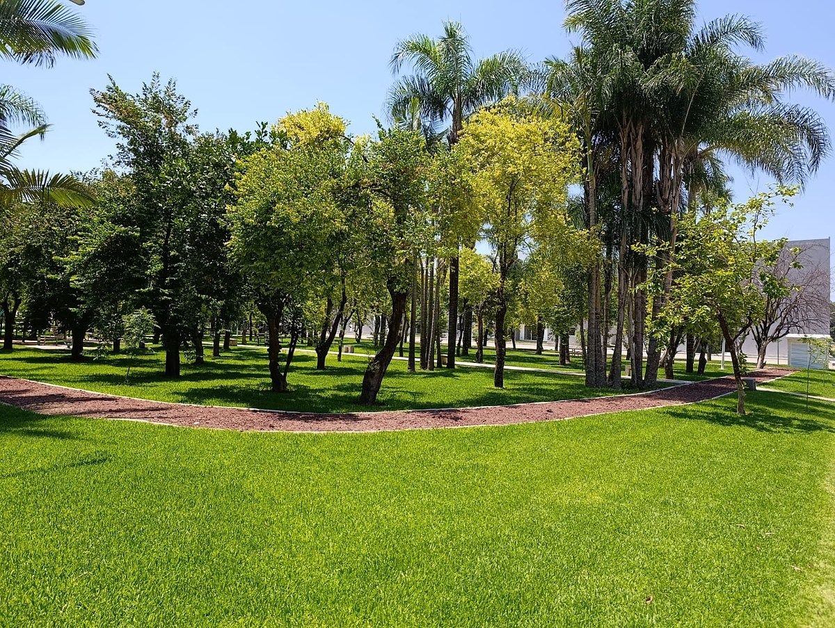 Apartamento em Tabachines, Yautepec, foto 30 de 30