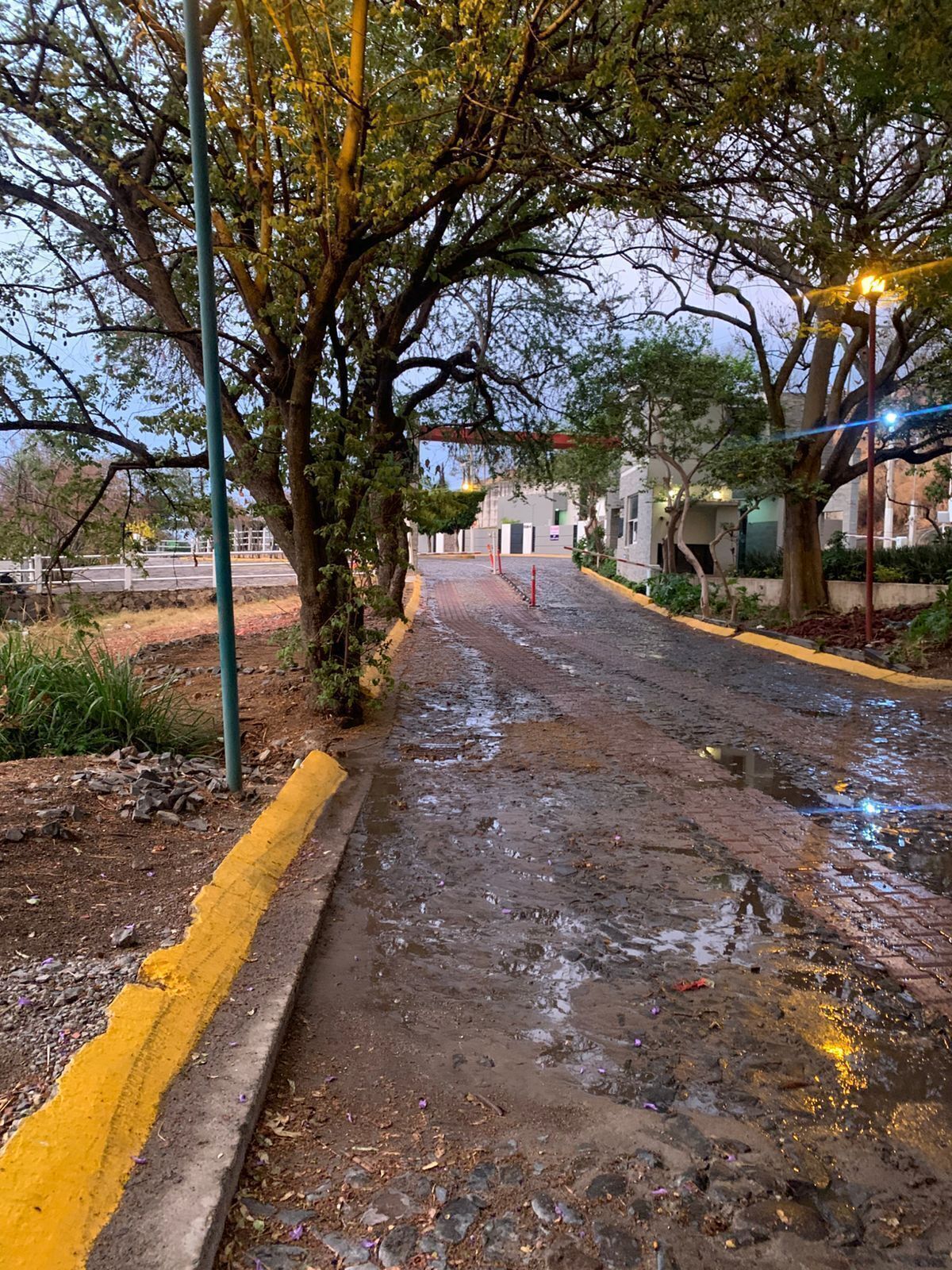 6 de 14