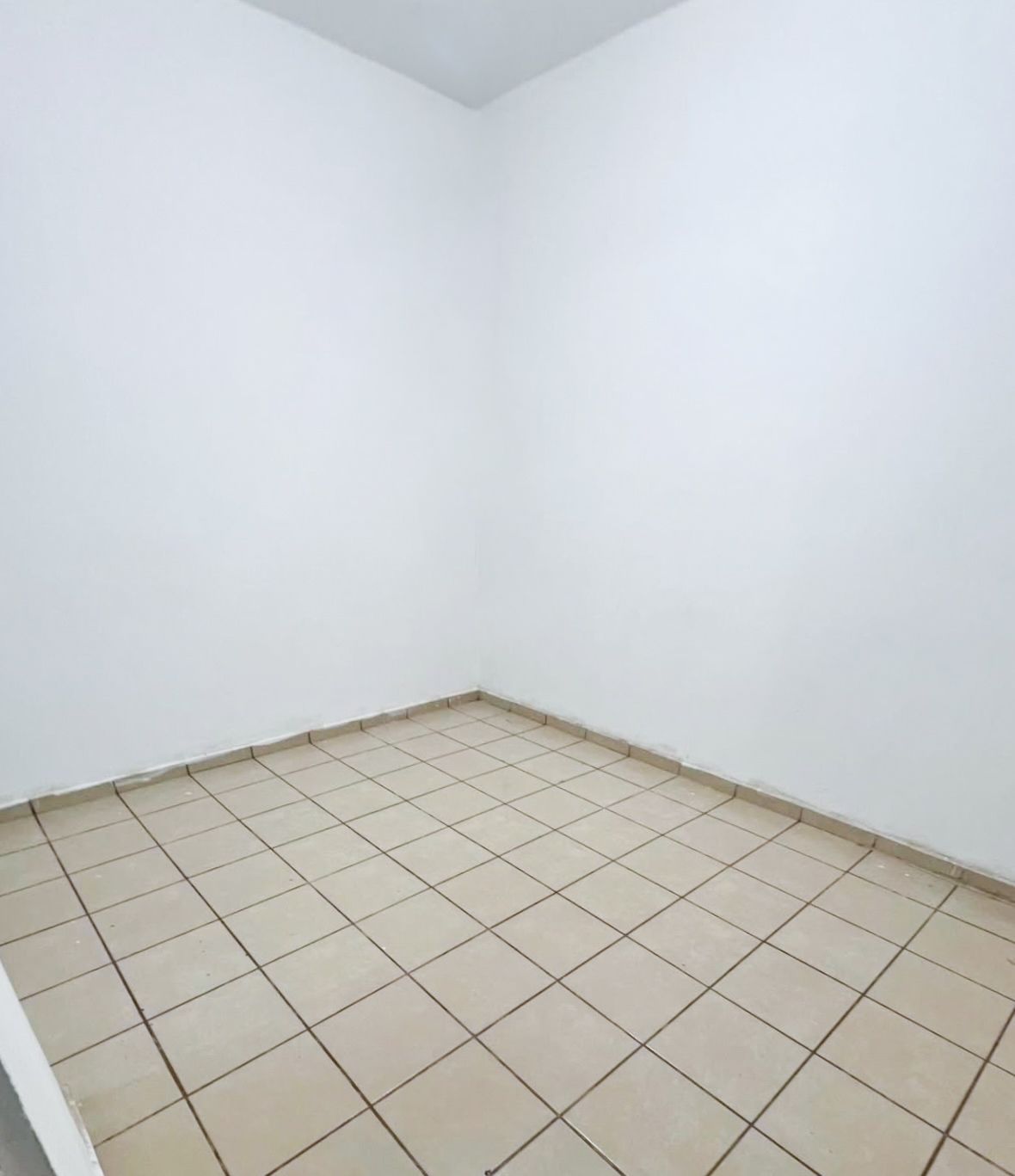 Imagen de producto de CLASCO