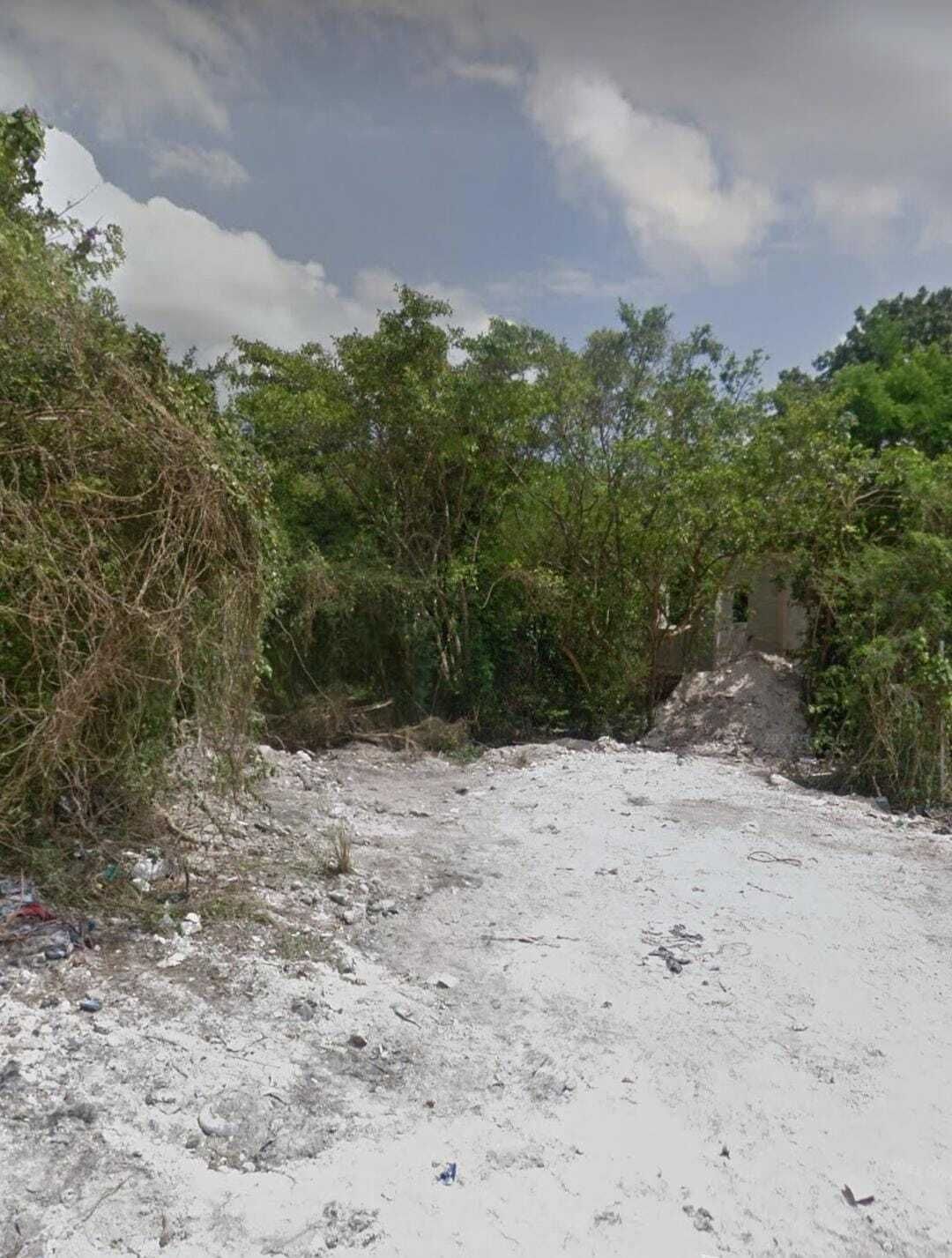 3 de 3
