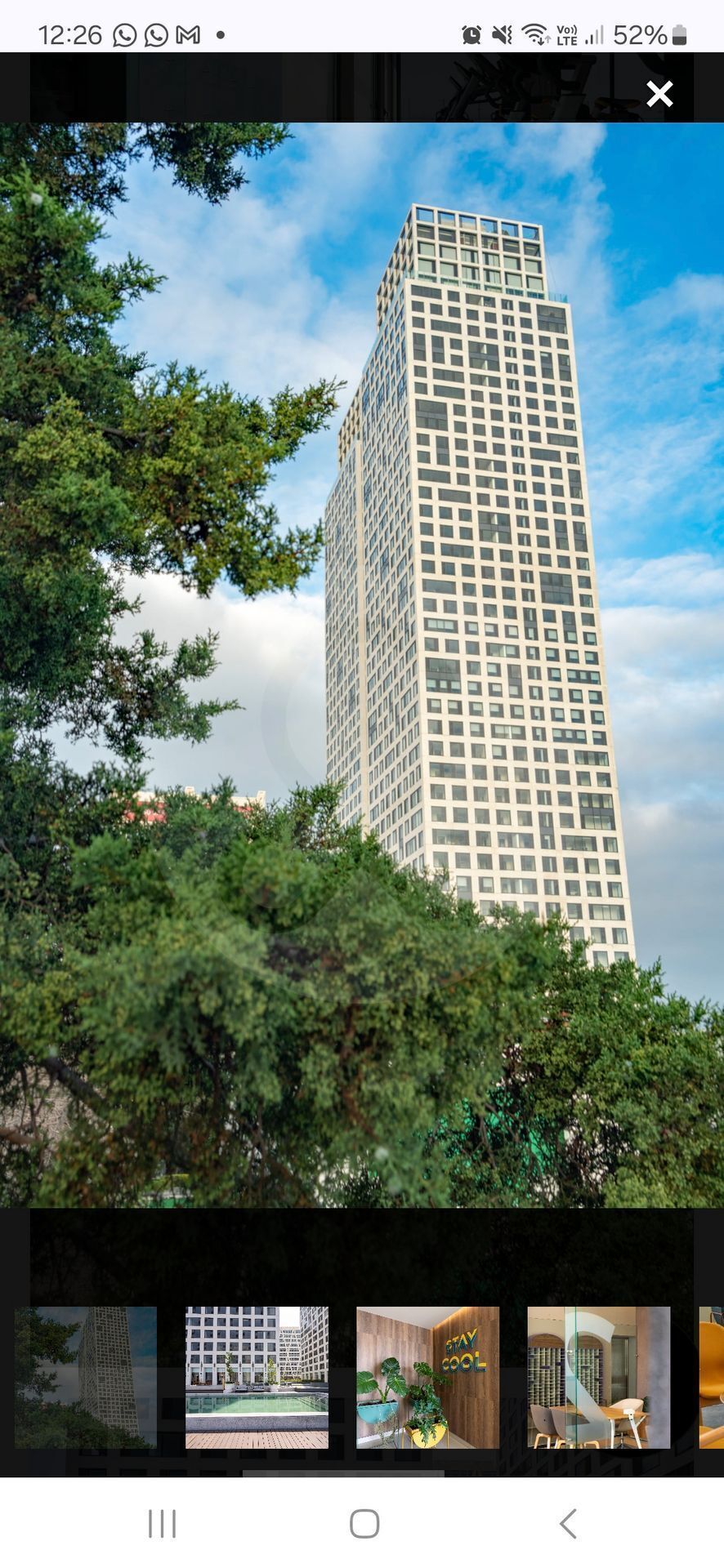 5 de 17