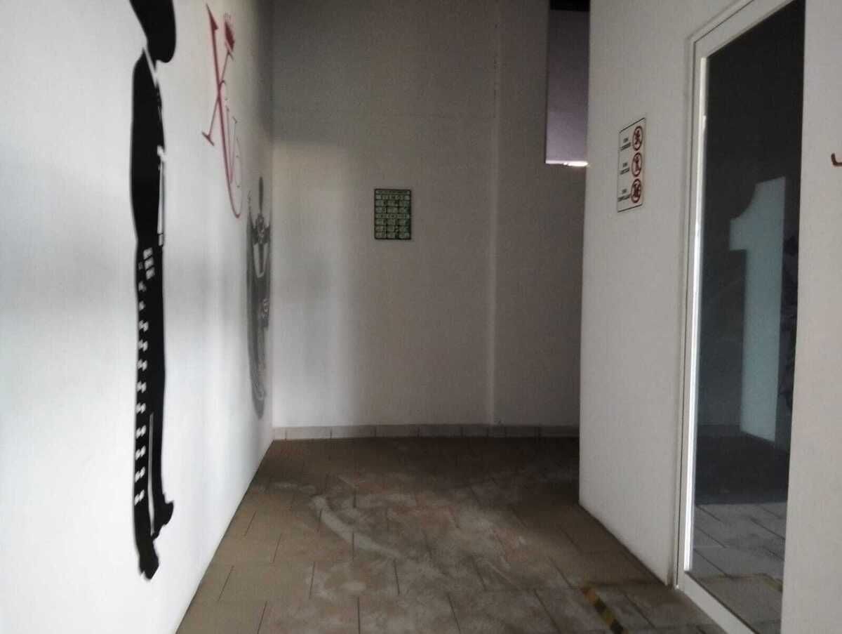 3 de 8