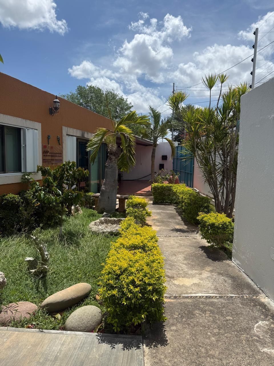 3 de 14