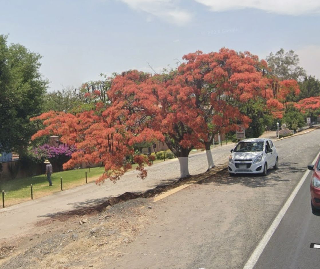 1 de 7: Terreno en venta en Ajijic